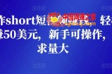 制作short短视频赚钱：轻松日赚50美元，新手可操作，需求量大