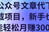 公众号文章代下载项目，新手也能轻松月赚3000+【视频教程】