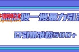 微信搜一搜引流全系列课程，日引精准粉500+（8节课）