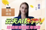 云天AI数字人短视频项目，门槛低，适合各类人群【更新】