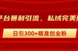 跨平台暴力引流，私域完美闭环，日引100+精准创业粉