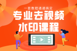 专业去视频水印教程 静态水印、动态水印、文字水印、图片水印一套教程通通搞定