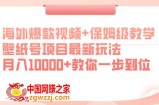 海外爆款视频+保姆级教学，壁纸号项目最新玩法，月入10000+教你一步到位【揭秘】