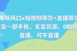 视频号新风口x短视频带货+直播带货，全程只需一部手机，无需货源、0粉丝、可直播、可不直播