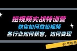 小视频实战演练夏令营：教大家如何做短视频，各个行业如何获客，如何盈利 (60节)