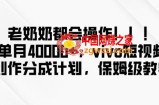 老奶奶都会操作，新平台无脑操作，单月40000+，vivo短视频创作分成计划【揭秘】