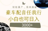 不为人知的暴力小项目，豪车配音，日入几张【揭秘】