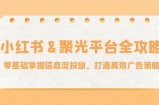 小红薯聚光平台全攻略：零基础掌握信息流投放，打造高效广告策略