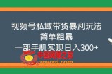 视频号私域带货暴利玩法，简单粗暴，一部手机实现日入300+
