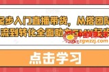 从0起步入门直播带货，​从搭团队到引流到转化全面助力GMV起步