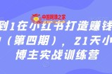 从0到1在小红书打造赚钱的个人IP（第四期），21天小红书博主实战训练营