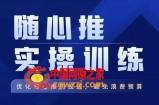 飞哥·随心推实操训练，优化随心推投放，避免浪费预算