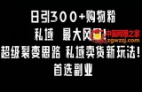 日引300+购物粉，超级裂变思路，私域卖货新玩法，小红书首选副业【揭秘】