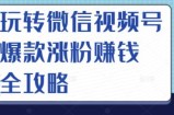 玩转微信视频号爆款涨粉赚钱全攻略，让你快速抓住流量风口，收获红利财富