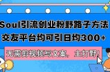 （12281期）Soul引流创业粉野路子方法，交友平台均可引日均300+，无需剪视频写文案&amp;#8230;