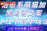 治愈系萌猫加+黑鸡汤文案，小红书商单玩法，3~10天涨到1000粉，一单200左右