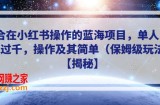 适合在小红书操作的蓝海项目，单人日收入过千，操作及其简单（保姆级玩法）【揭秘】