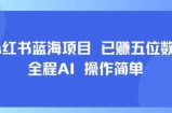 小红书蓝海项目，全程AI，操作简单，已挣五位数