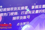热门短视频带货实战 掌握流量密码 做热门视频 打造有流量的短视频带货账号