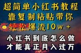 小红书博主到底怎么做，才能复制粘贴不封号，还能爆流引流疯狂变现，全是干货【揭秘】