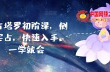实占塔罗初阶课，侧重实占，快速入手，一学就会