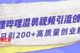 哔哩哔哩B站混剪视频引流创业粉日引300+