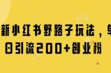 最新小红书野路子玩法，单日引流200+创业粉