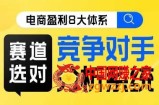 电商盈利8大体系·赛道选对，​竞争对手分析系统线上课