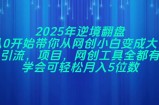 2025年逆境翻盘，从0开始带你从网创小白变成大佬，引流，项目，网创工