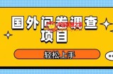 国外问卷调查项目，日入300+，在家赚美金【揭秘】
