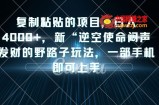 复制粘贴的项目，日入4000+，新“逆空使命“闷声发财的野路子玩法，一部手机即可上手