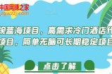 正规蓝海项目，高需求冷门酒店代订项目，简单无脑可长期稳定项目【揭秘】