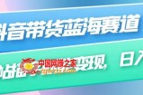 抖音带货蓝海赛道，无需真人出镜，字帖描字就能变现，日入上千（附带全套教程）