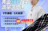 薛老丝儿美业seo搜索流量落地课，一周暴涨20w粉丝，全干货讲解