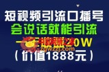 短视频引流口播号，只要会说话就能引流，一年收益20W（价值1888元）