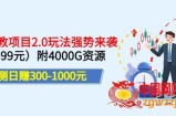 叛逆稻草幼教项目2.0玩法强势来袭：实测日赚300-1000元，附4000G资源（价值699）