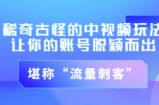 不讲李·稀奇古怪的冷门中视频冷门玩法，让你的账号脱颖而出，成为流量刺客！（图文+视频）