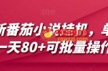 最新番茄小说挂机，单机一天80+可批量操作【揭秘】