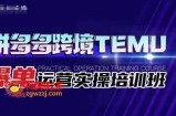拼多多跨境TEMU爆单运营实操培训班，海外拼多多的选品、运营、爆单