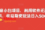 抖音小白项目，利用软件无脑搬运，收益裂变玩法日入500+【揭秘】