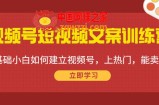 视频号短视频文案训练营：0基础小白如何建立视频号，上热门，能卖货！