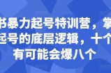 小红书暴力起号特训营，掌握小红书起号的底层逻辑，十个帖真有可能会爆八个
