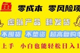 （12663期）闲鱼 零成本 零风险项目 虚拟产品秒发货 不囤货 不垫资 超高复购率  简&amp;#8230;