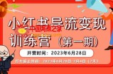 【推荐】小红书导流变现营，公域导私域，适用多数平台，一线实操实战团队总结，真正实战，全是细节！