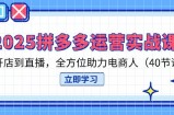 2025拼多多运营实战课，从开店到直播，全方位助力电商人(40节课
