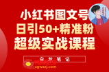 小红书图文号日引50+精准流量，超级实战的小红书引流课，非常适合新手