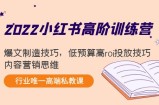 2022小红书高阶训练营：爆文制造技巧，低预算高roi投放技巧，内容营销思维