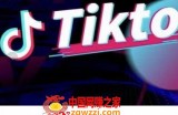 TikTok海外抖音短视频线上陪跑训练营：玩赚Tiktok少走弯路（原价3980）