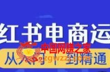 顽石小红书电商高阶运营课程，从入门到精通，玩法流程持续更新