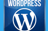WordPress网站建设和优化